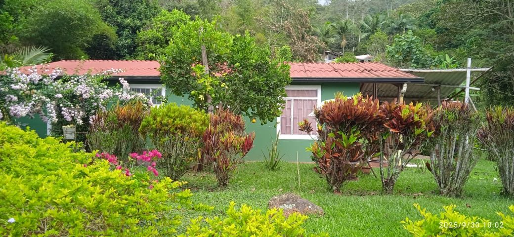 Finca rodeada de jardines tropicales