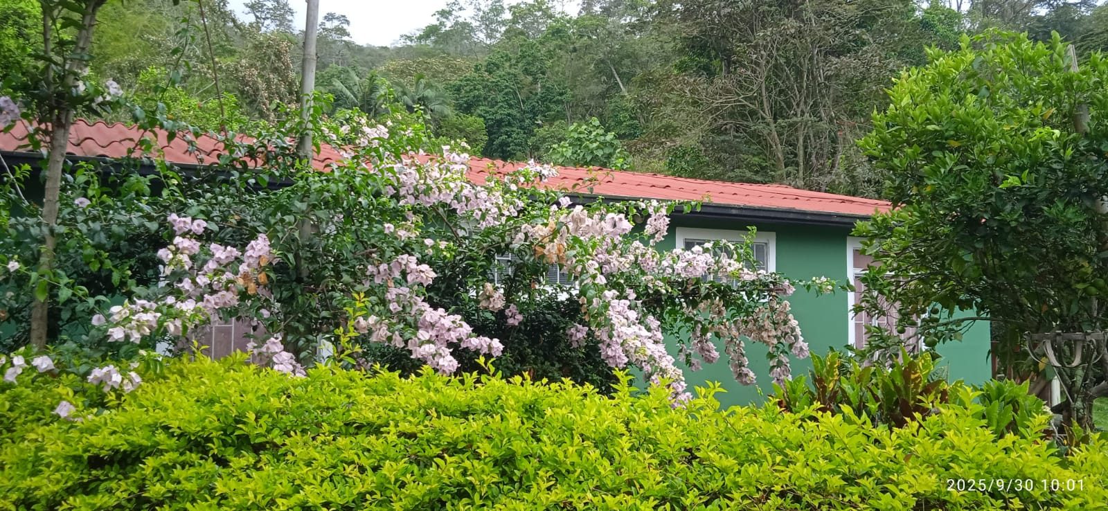 Casa campestre entre el bosque