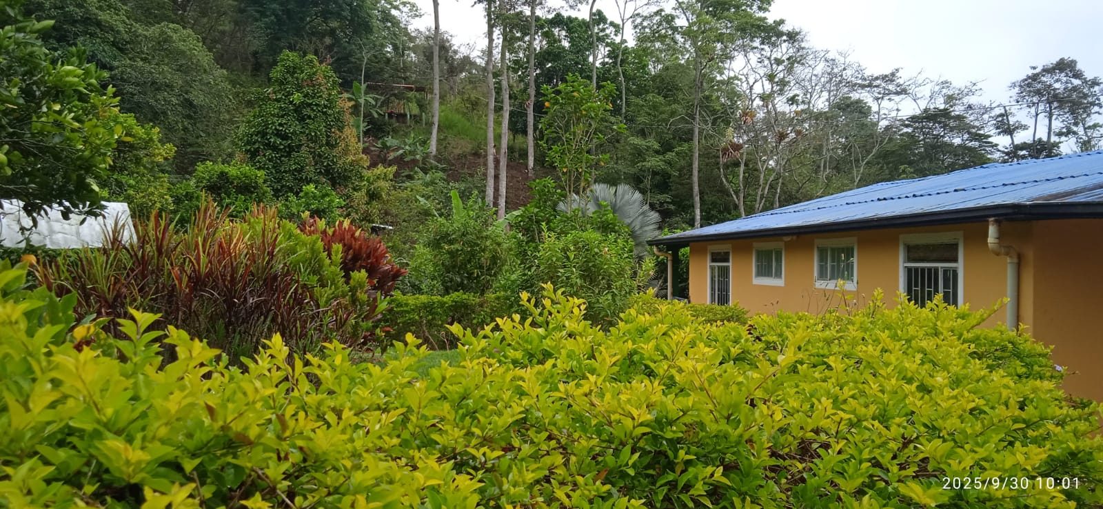 Acceso en montaña a Villa Sele