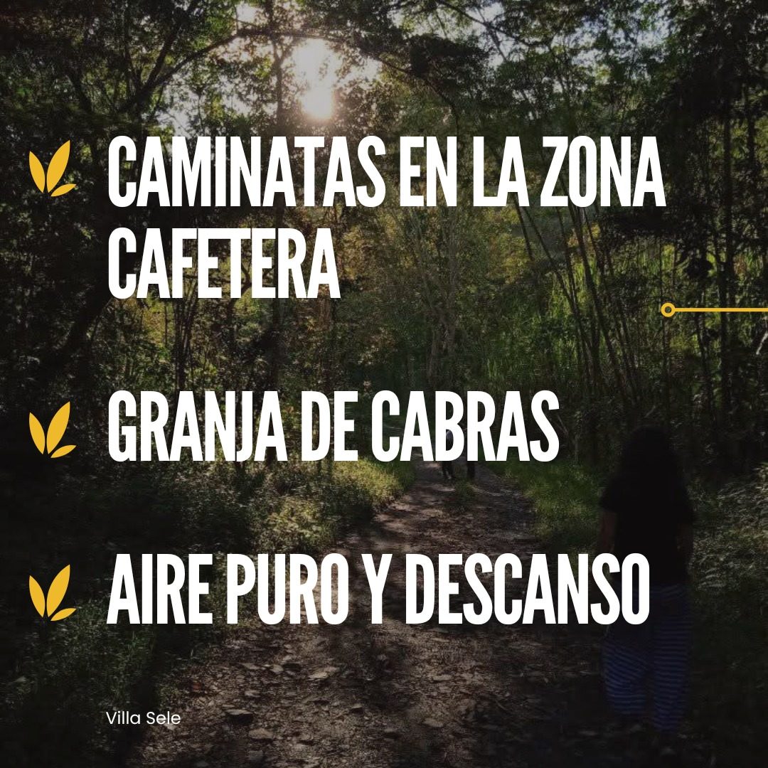 Caminatas a fincas con cabras en Silvania